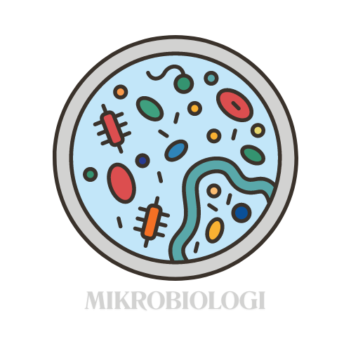 MIKROBIOLOGI