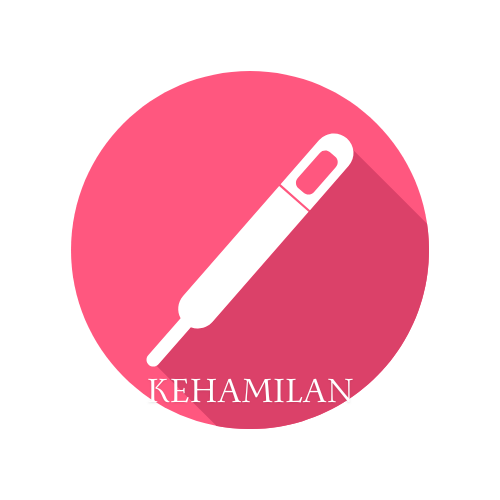 KEHAMILAN